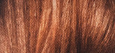 L´Oréal Paris Farba na vlasy Préférense 5.3 Virginia Světlá hnědá zlatá
