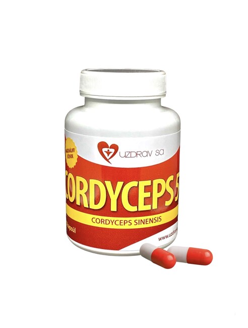 CORDYCEPS sinensis 50 percent polysacharidov - 90 cps