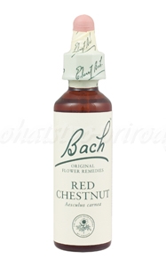 Red Chestnut - Červený gaštan 20 ml - bachove kvapky