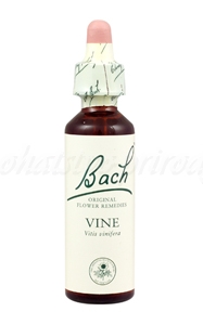 Vine - Vínna réva 20 ml - bachove kvapky