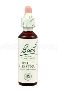 White Chestnut - Gaštan biely konský 20 ml - bachove kvapky