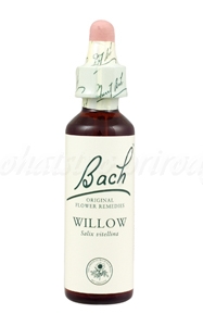 Willow - Vŕba žltá 20 ml - bachove kvapky