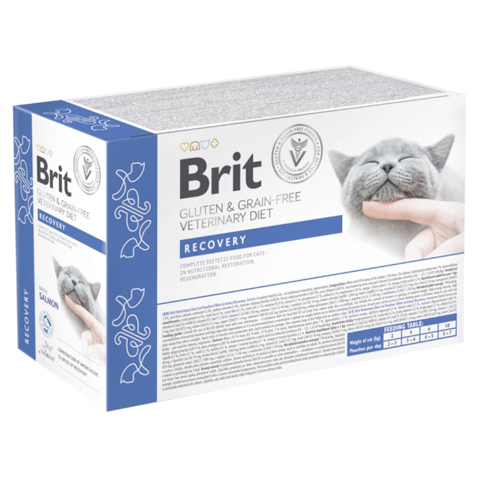 BRIT Veterinary Diét Cat Pouch fillets in Gravy Recovery 12 x 85 g