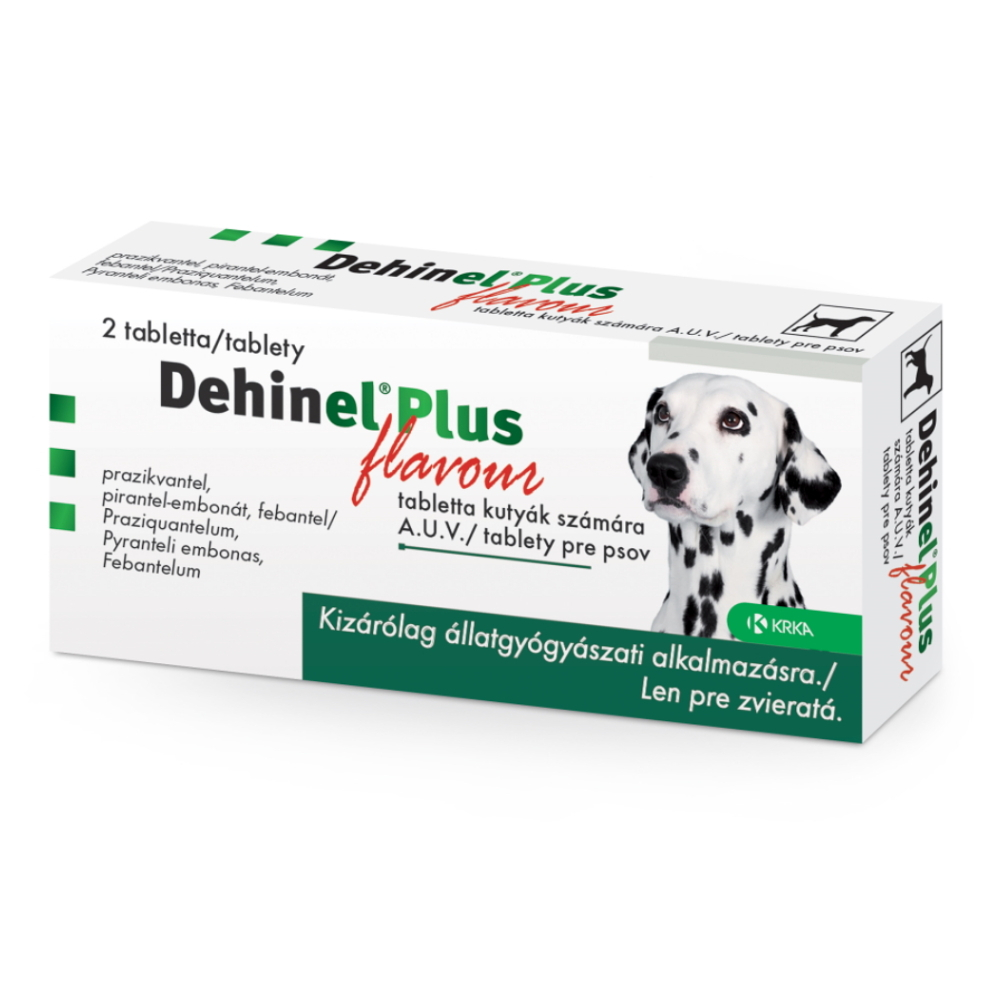 DEHINEL Plus Flavour 2 tablety