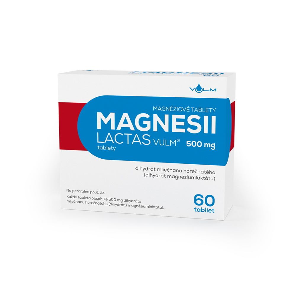 MAGNESII LACTAS 500 mg tablety 60 ks
